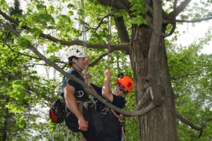 Aerial Rescue Training