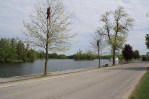 Pruning on Lakefield Trail