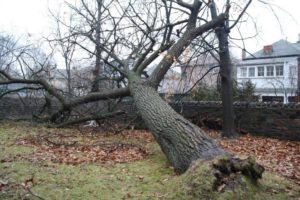 Results of change of grade