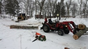 Winter Tree work