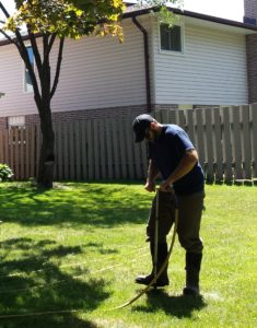 Tree Fertilizing