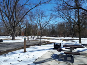 Beavermead Tree Planting