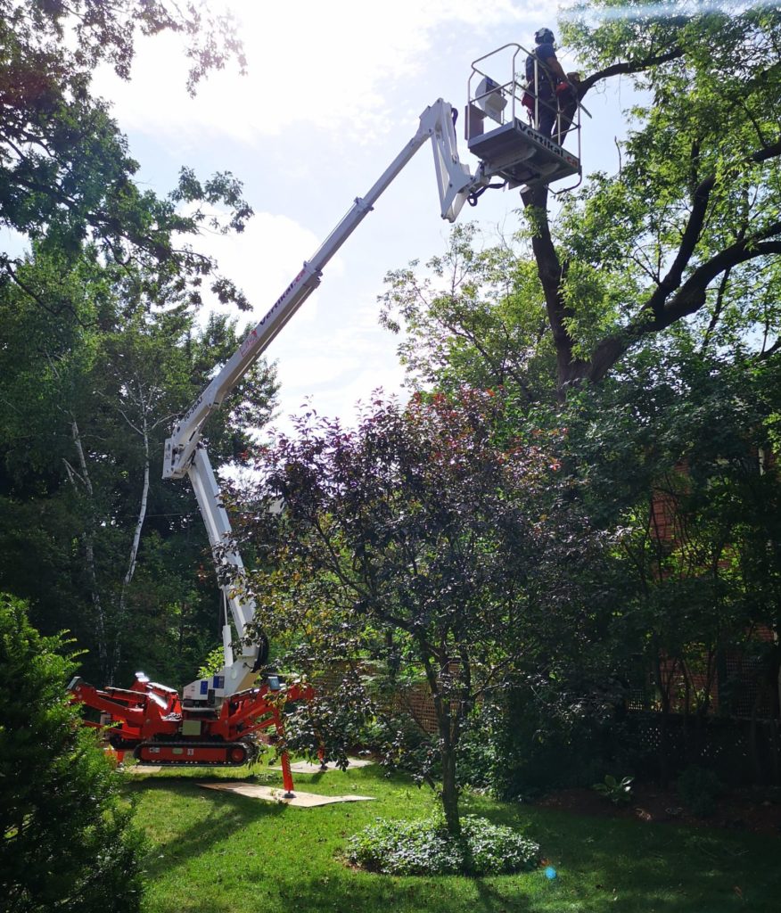 72 ft Spider Lift